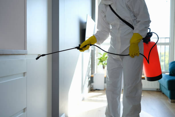 Best Crawl Space Mold Removal  in Aquia Harbour, VA