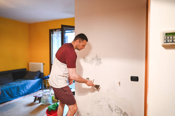 Best Affordable Mold Removal  in Aquia Harbour, VA